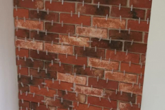 126282162_3547062435379700_6903743920587386756_o